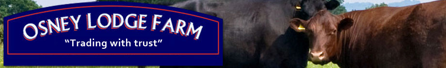 Osney Lodge Farm | Home